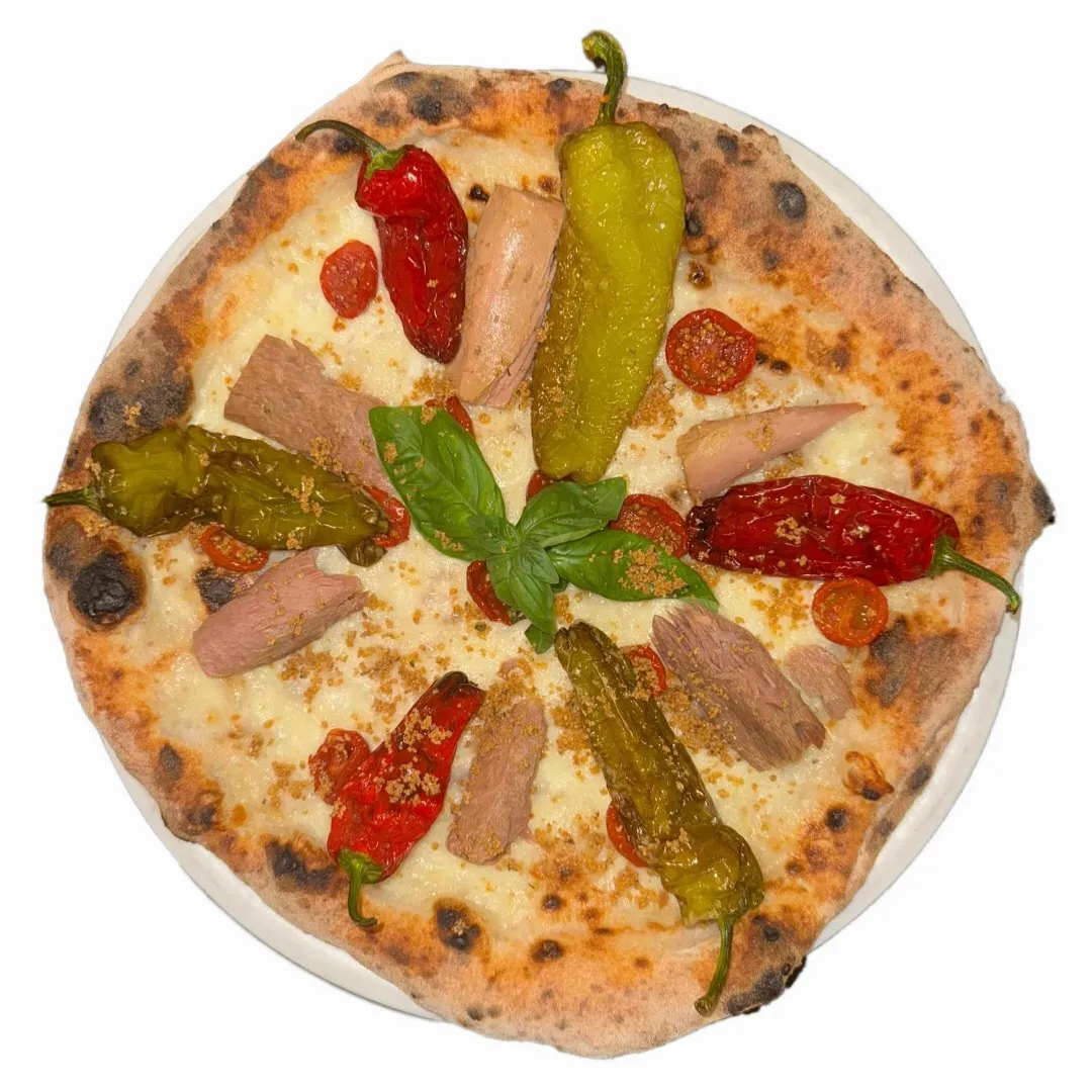  Friggitella