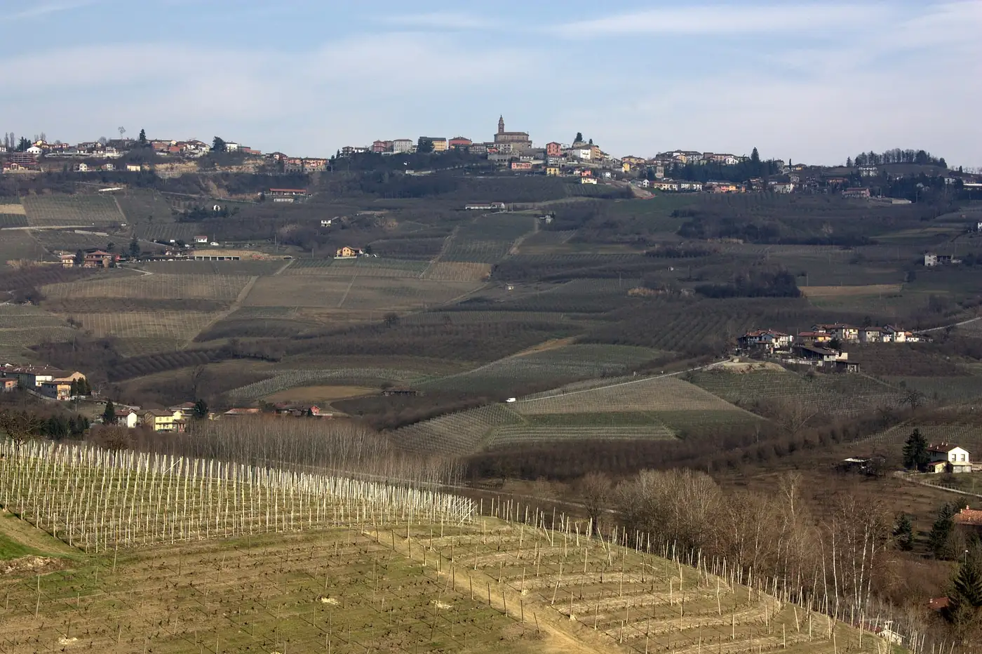 Colline delle Langhe